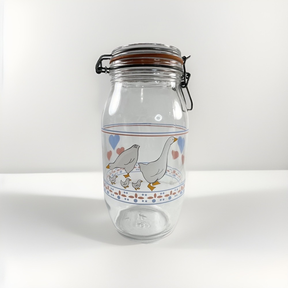 Cottagecore Duck Hearts Clear Glass Canister Jar 2 L Made In France